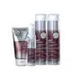 Kit Joico Defy Damage  Protective Shield e Mask  (4 produtos)