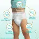 Fralda Pampers Premium Care XXXG com 52un (8)