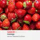 Vitamine-se Gummy Imunidade Kids - Suplemento Alimentar (30 Unidades) (6)