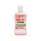 Enxaguante Bucal Listerine Melancia E Hortela 250ml (1)