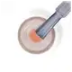 Risqué Nudes Natural Melissa - Esmalte Cremoso 8ml (3)
