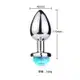 Sexy Import Led 13 Cores Tamanho Grande - Plug Anal (5)