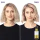 Kit Borabella SOS Extreme Elixir Argan Oil (3 Produtos) (3)