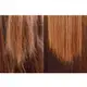 Kit Borabella SOS Elixir Argan Oil Power (3 Produtos) (3)