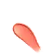 Bruna Tavares BT Shimmer Coralina - Blush 8g (2)