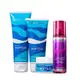 Kit Lowell Extrato de Mirtilo Home Care Liss Termoativado (4 Produtos) (1)
