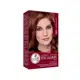 Haskell Exclusiv Tom 600 Louro Escuro - Tonalizante 40g