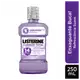 Enxaguante Bucal Listerine Cuidado Total Zero 250ml (4)