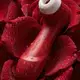 Vibrador Satisfyer Pro 2 INTT By Deborah Secco - 11 Intensidades (6)