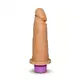 Pênis realístico vibro com 12 modos de vibração 15,3x4,5cm sexy fantasy (2)
