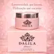 Isabelle La Belle Shimmer Dalila - Creme Hidratante Corporal 90g (2)