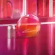 Sempre Desobediente Eau De Parfum 100ml (3)