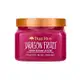 Tree Hut Dragon Fruit Shea Sugar Scrub - Esfoliante Corporal 510g (1)