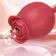 Rosa Sugador de Clitóris e Vibrador Vai e Vem 10 Modos de Vibração em Silicone Recarregável (7)