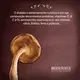 Kit Bio Extratus Shitake Reconstrução Shampoo Máscara (3)
