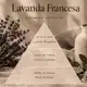 Filum Artesanal Home Spray de Ambiente Lavanda Francesa 200ml (3)