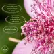 Weleda Rosa Mosqueta - Óleo Corporal 100ml (3)