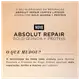 Kit L'Oréal Professionnel Serie Expert Absolut Repair Gold Quinoa + Protein Salon Duo (2 Produtos) (3)