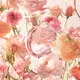 Floratta Rose o Boticário - Desodorante Colônia Feminino 75ml (5)