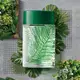 Arbo Botanic Desodorante Colônia 100ml (5)