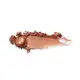 Iluminador Stick Eudora Glam Golden 5g (4)