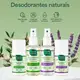 Kit 4 Desodorante Boni Natural Roll-On Natural Coco E Magnésio Vegano Lavanda 24Hrs Proteção 55ml (4)