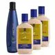 Kit Linha A Shampoo e 3 Cremes De Silicone Aneethun 250ml (1)