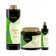 Kit Trio Sense  Brasil Infinity Hair (03 produtos)