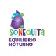 Kit C2 Floral SonequitaTranquilidade Noturna Kids - Floral Thérapi (3)