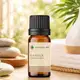 Óleo essencial puro natural de Canela Cássia – 10 ml (2)