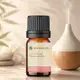 Óleo Essencial Puro Natural de Gerânio 5 ml (2)