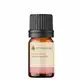 Óleo Essencial Puro Natural de Gerânio 5 ml (1)