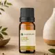Óleo Essencial Puro Natural de Litsea Cubeba 10 ml (2)
