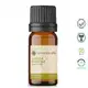 Óleo Essencial Puro Natural de Litsea Cubeba 10 ml (5)