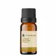 Óleo Essencial Puro Natural de Litsea Cubeba 10 ml (1)