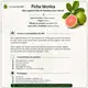 Óleo Vegetal Puro Natural Prensado a Frio Folha da Goiabeira 50ml (4)