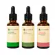 Kit de óleos vegetais de Alecrim, Amla e Folha da Goiabeira – 30 ml cada (1)