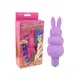 Estimulador de Clitóris 7 Vibrações - Roxo | Aphrodisia (1)