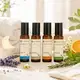 Kit 4 blends de óleos essenciais - Concentrar, Despertar, Relaxar e Sonhar roll-on - 10 ml cada (2)