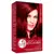 Tonalizante Haskell Excllusiv Tom 5562 Castanho Claro Vermelho Violeta Especial