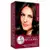 Tonalizante Haskell Excllusiv Tom 500 Castanho Claro
