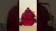 Vídeo: Cherry Coach Parfum - Perfume Feminino 50ml